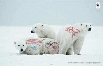 Wwf White Bear