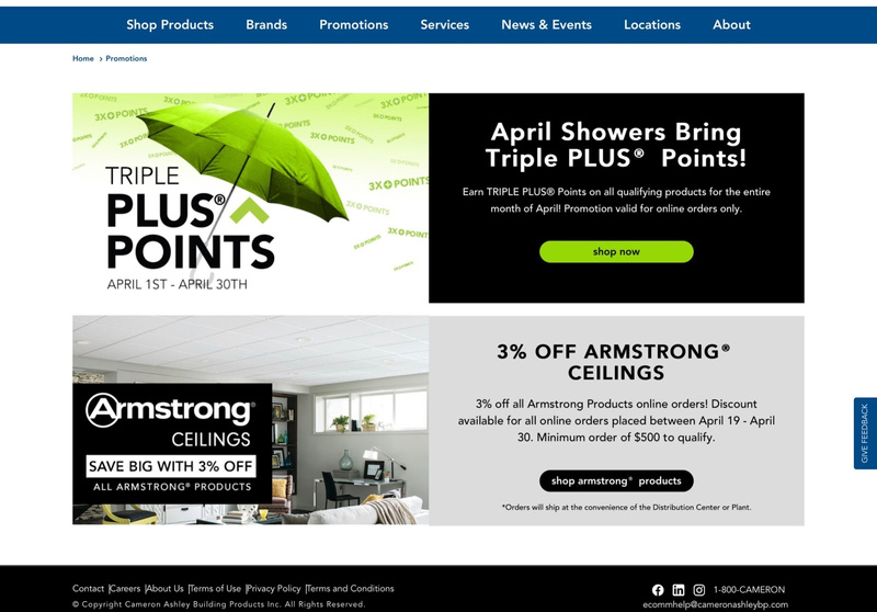 129 How Cameron Ashley Successfully Launched Their Ecommerce Website 4